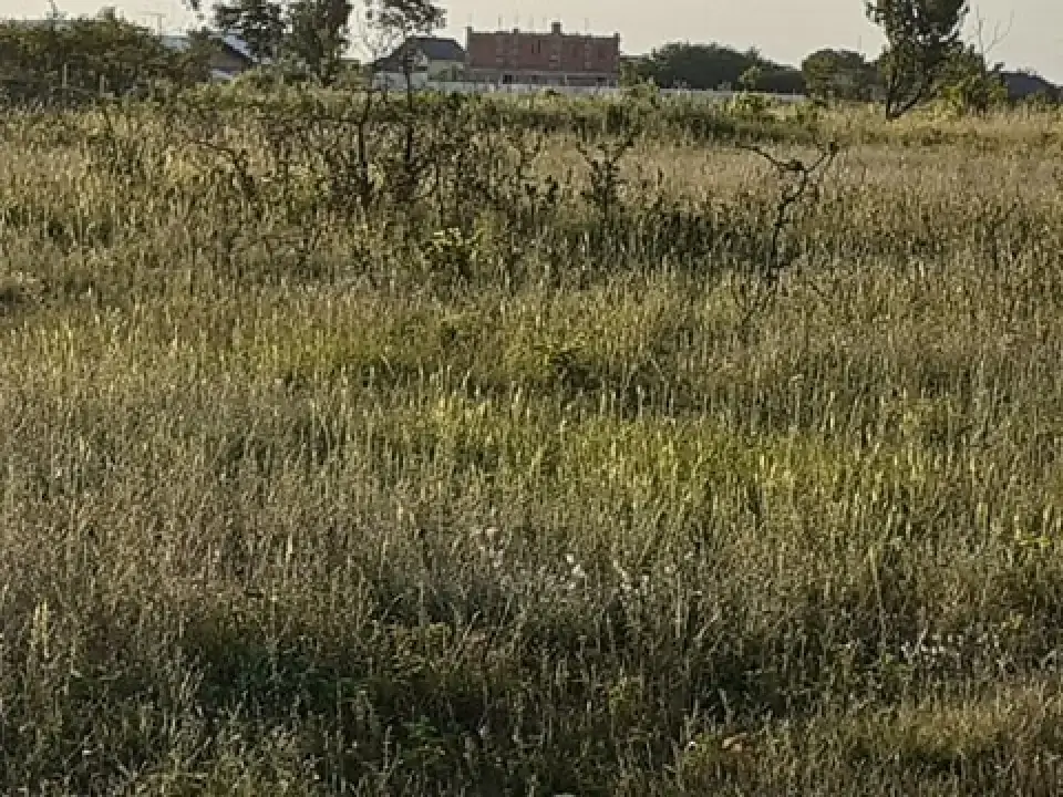 teren Bucuresti 500 mp Giurgiului langa Dedeman img 16